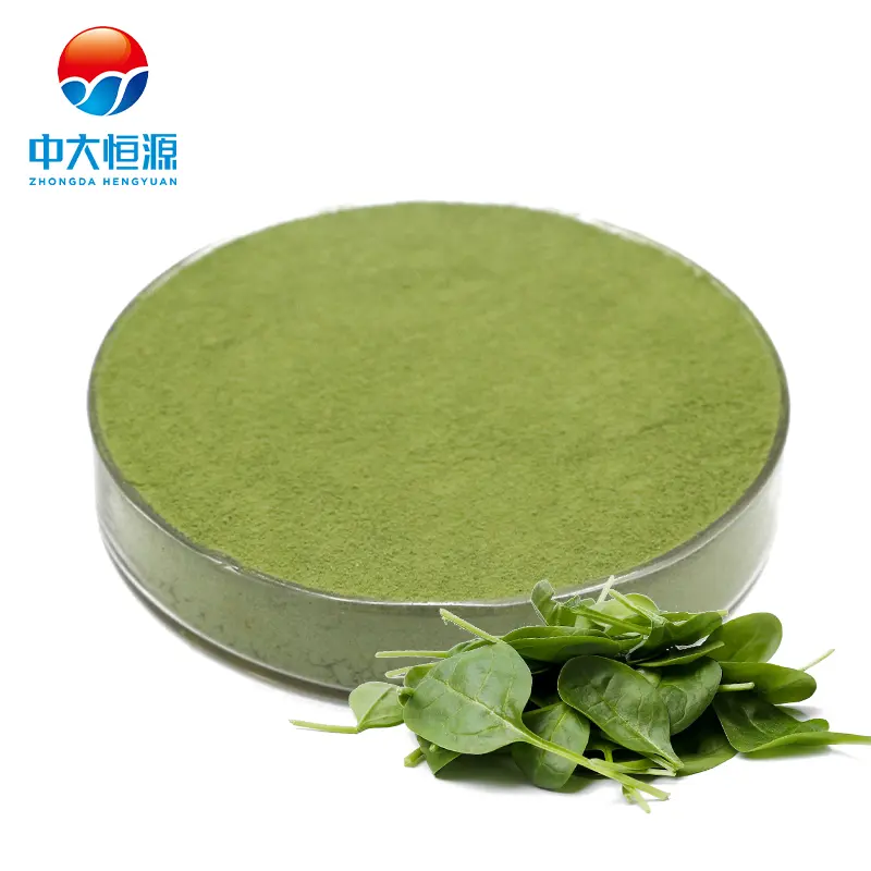 Estratto vegetale verde Halal spinaci in polvere