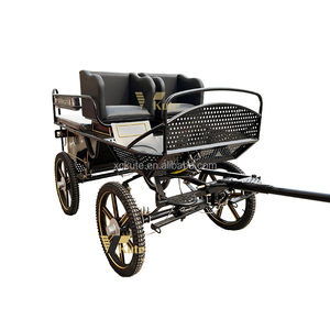 Chariot miniature à deux roues personnalisé pour chevaux, chariot de marathon pour poney/ chariot d'entraînement pour chevaux, <span class=keywords><strong>4</strong></span> passagers, Surrey - Product Image 1