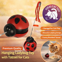 Jouet interactif pour chat, jouet à rouler pour friandises, corde à plumes, base verticale, plastique écologique, couleurs personnalisées, emballage OEM, usine