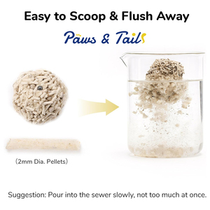 <span class=keywords><strong>Arena</strong></span> para <span class=keywords><strong>Gatos</strong></span> de Tofu, Nueva Llegada 2026, a Granel 10L, Alta Desodorización, Aglomeración Rápida para Hogares con Múltiples <span class=keywords><strong>Gatos</strong></span>, Suministro de Fábrica - Product Image 4