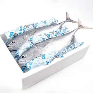 Food Fish Dry Ice Pack Sheet Customized Gel Ice Pack For Shipping Freezing Food