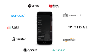 Fabrieksprijs <span class=keywords><strong>Audio</strong></span>-Ontvanger Voorversterker Streamer Multiroom Stereo Digitale Voorversterker - Product Image 3