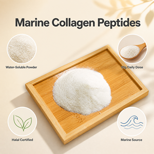 Poudre de peptides de collagène marin pour complément beauté, éclaircissement de la peau, soutien capillaire, 10g/jour, formule naturelle pour adultes - Product Image 1
