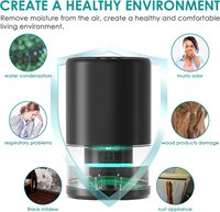 Mini sécheur d'air Portable Rechargeable, petit déshumidificateur à vendre 1L 350ML/D
