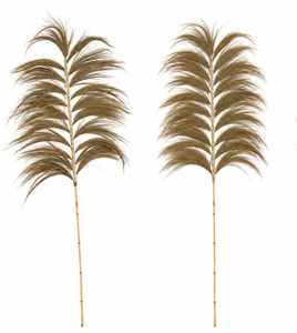 Natural <b>Dried</b> Pampas <b>Grass</b> Feathers Fluffy Decorative Plant for Wedding Eco Friendly Home Decoration - Product Image 1