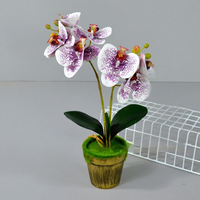 Phalaenopsis Bonsaï Artificiel en Soie – Décoration pour Salon, Table Basse, Entrée, Comptoir de Café