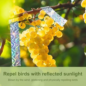 Cinta repelente <span class=keywords><strong>de</strong></span> pájaros <span class=keywords><strong>de</strong></span> 2,5 cm para Control <span class=keywords><strong>de</strong></span> aves <span class=keywords><strong>de</strong></span> plagas <span class=keywords><strong>de</strong></span> <span class=keywords><strong>frutas</strong></span> para jardín, cinta reflectante <span class=keywords><strong>de</strong></span> doble cara para asustar pájaros, Ideal para valla - Product Image 4