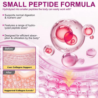 Complément de collagène en marque privée OEM, poudre de peptides de collagène avec acide hyaluronique, compléments de collagène pour femmes