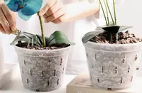 Pot bunga perlengkapan taman pot anggrek transparan dengan lubang samping nampan tanaman plastik dapat digunakan kembali untuk bunga aplikasi lebar