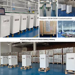Batería de Almacenamiento de Energía Doméstica de Fosfato de Hierro y Litio de 51.2V, Montada en Pared, 5KW/10KW BMS, FT-WALL-48200, 50kg - Product Image 3