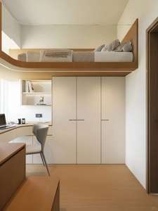 Cama Alta de Madera Personalizada con Escritorio, Armario, Escaleras y Estantería para Adultos y Adolescentes, Ideal para Campus, Escuelas, Hostales o Apartamentos - Product Image 3