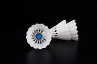 Volant de Badminton professionnel, boule de plumes d'oie, blanc, pour sport, tournoi, absorbant