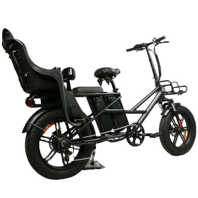 Front and Rear Double 2 Basket Mid Drive Motor Two Battery Fast Food Pizza Delivery Cargo Electric Bike