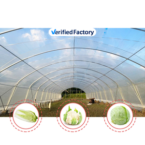 Serres monocoupes en <span class=keywords><strong>film</strong></span> plastique de la marque Baolida, vente en gros <span class=keywords><strong>pour</strong></span> la culture des plantes - Product Image 5
