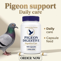 Capsules Probiotiques pour Pigeons – Mélange Herbal Fermenté à base de Bacillus Subtilis pour le Soutien Digestif des Oiseaux de Course, d'Élevage et de Compétition – Fournisseur ODM