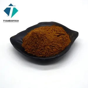 Hot Selling Black Cohosh Extract Pure Natural Black Cohosh Root Extract Powder