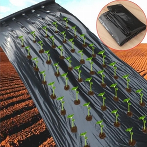 Fruits Légumes Maïs Agriculture Nourrir Noir et Argent Paillis <span class=keywords><strong>Agricole</strong></span> Film paillage Film Paillis Plastique - Product Image 1