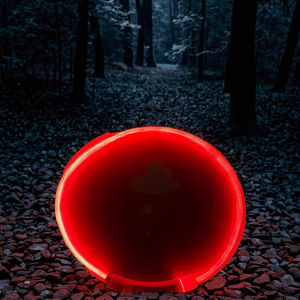 Collier pour chien classique en silicone rechargeable par USB, motif solide, lumineux, LED, fermeture à boucle, plaque personnalisée, promenade nocturne pour animaux de compagnie - Product Image 6