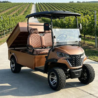 Voiture de golf électrique tout-terrain Rainbow 72V certifiée CE, freins à disque, 2 places personnalisées avec benne arrière hydraulique, autonomie 70-90 km