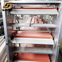 Équipement d'élevage avicole : Cage pour poules pondeuses et poulets de chair pour fermes avicoles