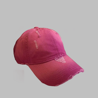 Gorra de béisbol Oxford vintage rosa desgastada de 6 paneles con diseño de frutas, de ala ancha, lavado degradado, ajustable, unisex, talla grande, para todos.