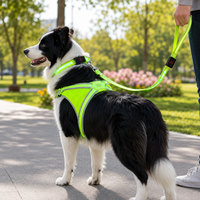 Qcool Harnais, collier et laisse pour chien en nylon LED rechargeable, ensemble de sécurité pour la promenade en extérieur, emballage de détail B2B personnalisé, fournitures pour animaux de compagnie