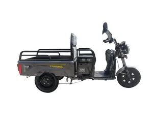 Baterai penggunaan keluarga kustom kendaraan 160Kg kargo sepeda roda tiga 3 roda dengan pengiriman murah