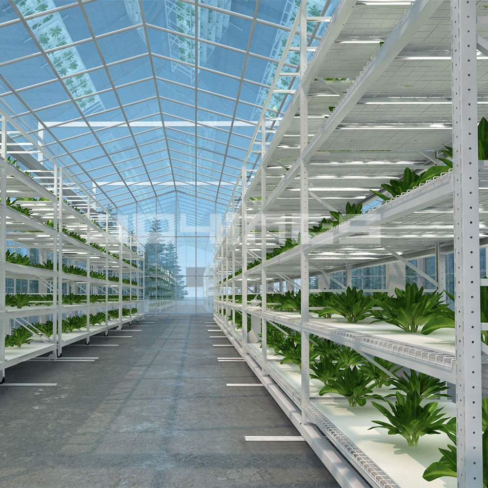 How to Choose the Best Vertical Growing Rack for Seed Trays