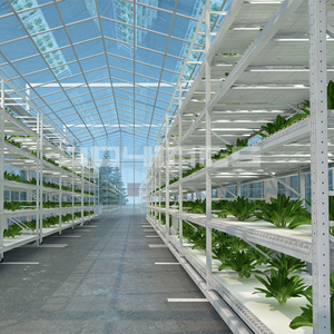 Estante de cultivo hidropónico para plantas de interior, estante para cultivo de múltiples niveles, de alta calidad, para reproducción Vertical - Product Image 6