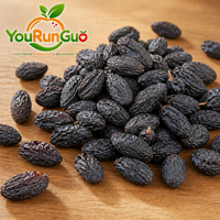 Raisins noirs séchés naturels, gros fruits, vente en gros