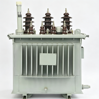 Transformateur triphasé immergé dans l'huile 100 kVA-33 kV.