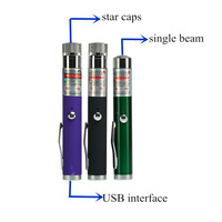 Stylo pointeur laser portable mini USB 532nm vert 650nm rouge avec batterie intégrée