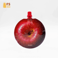 Sachets d'emballage de boissons portables imprimés sur mesure avec logo, 125 ml, 200 ml, 300 ml, pochette en plastique avec bec verseur pour jus de fruits glacés