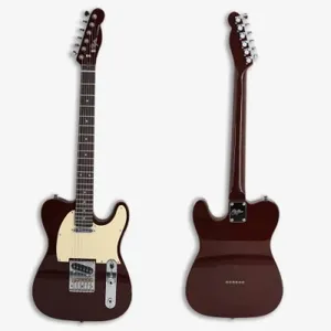 2022 Hot selling high quality plucked instrument professional 6 strings electric guitar made in china