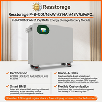 Batterie solaire LiFePO4 séparée 48V 314Ah 16.08kWh murale pour stockage d'énergie domestique hybride sur réseau, 15 unités en parallèle UN38.3