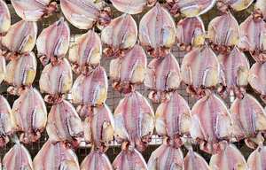 حالة جديدة معدات تجفيف الأسماك التدفئة الكهربائية SUS316L فرن التجفيف بما في ذلك العتاد المحرك مباشرة تجهيز الأغذية في الصين - Product Image 3