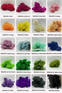 E-M021 Vente en gros de mousse naturelle de qualité supérieure à longue durée de vie 100g 500g, mousse de renne stabilisée pour la décoration murale de Noël, d'hôtels, de cafés et de maisons - Product Image 6