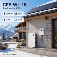 Batterie solaire LFP4 16kWh 10kWh 5kWh 51.2V 314Ah CFE-WL-16 compatible Solis pour système ESS résidentiel CE CB OEM