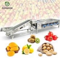 Perzik Track Droog Fruit Areca Olijf Sinaasappel Noot Industrieel Dragon Was- en Sorteermachine
