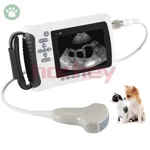 Equipamento de ultrassom veterinário para veterinários, fornecedor da China, scanner Doppler colorido portátil USB para hospital veterinário