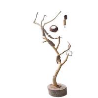 Support décoratif pour cage à oiseaux en forme de branche d'arbre, perchoir pour perroquet, poteau de perchoir, fourche d'arbre, support de lampe sur pied