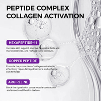 Coffret Cadeau Professionnel OEM d'Essence Raffermissante aux Peptides pour la Réparation de la Peau, Kit Sérum Anti-Âge, Booster de Collagène, Soin Visage Marque Privée