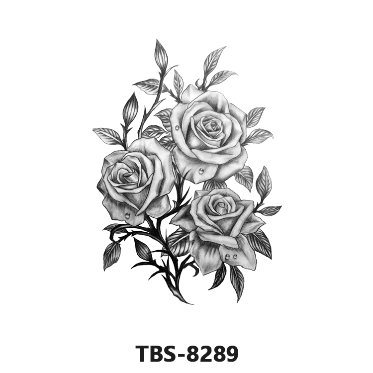 TBS-8089 type