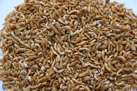 Alimentation pour poissons secs à base de krill lyophilisé, directement de l'usine, pour la peau et le pelage