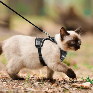 Reflektierende Katzen leine Hund Haustier Brust Weste Geschirr Leinen Weste Set für Hunde katzen Haustier für Outdoor Walking Katzen geschirr und Leine Set - Product Image 4