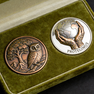 Pièces de monnaie promotionnelles en gros, personnalisées, de qualité supérieure, lisses, avec gravure, Pièce de défi Couronne - Product Image 5