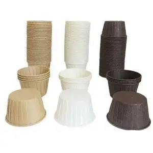 China supplier multi color disposable cupcake containers muffin baking cups cup cake paper cupcake liners