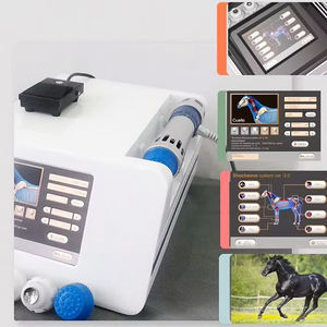 Le plus récent dispositif de thérapie par ondes de choc ostéoporose myopathies traitement de l'arthrose onde de choc électromagnétique pour chevaux avec CE ROSH - Product Image 4