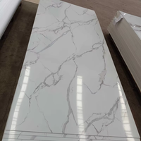 Panneau mural en PVC imperméable de bonne qualité, plaque de surface, feuille de marbre, panneau WPC
