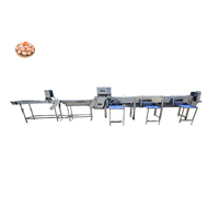 Food-Grade Egg Sorting Machine 20000pcs/h Chicken Egg Grader Automatic Chicken Egg Weight Sorting Machine